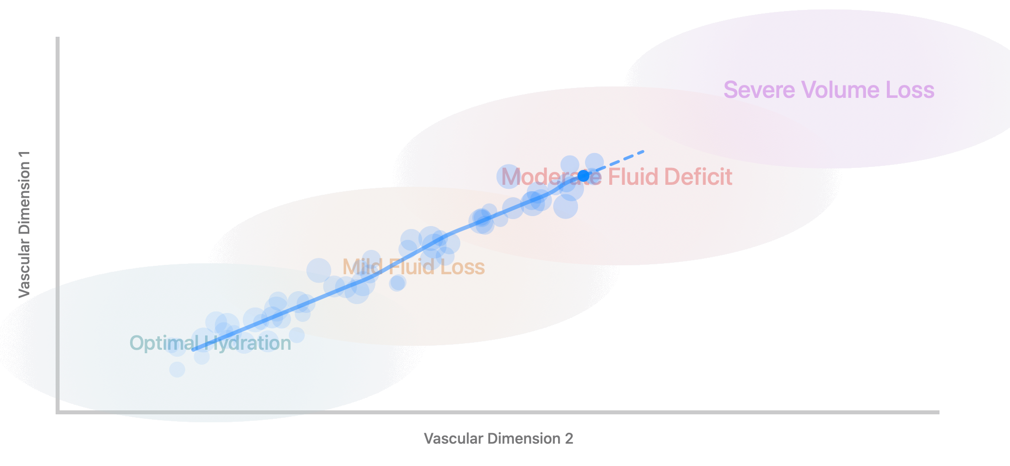 PhysioSense Vascular Radar visualization